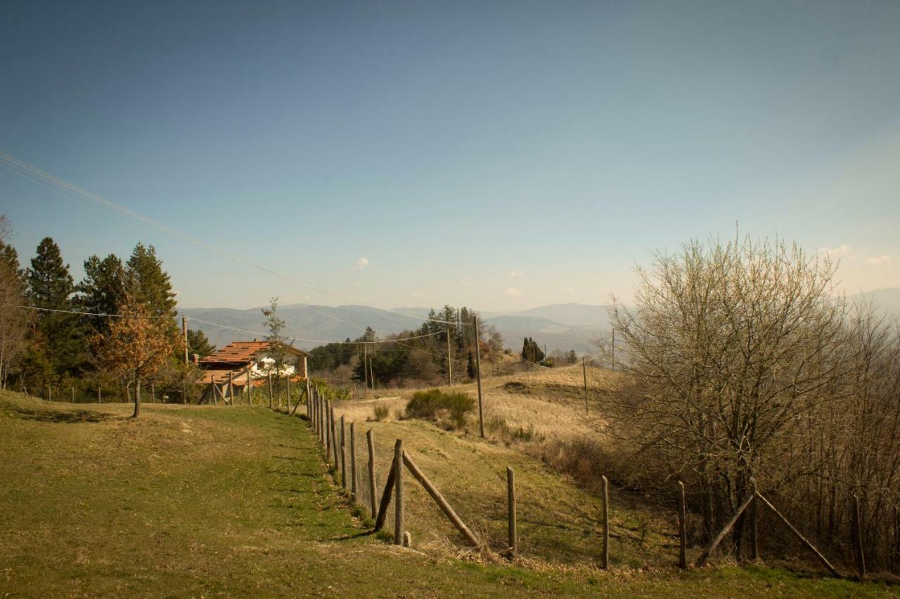 B&B Vista Casentino Pratovecchio Exteriér fotografie