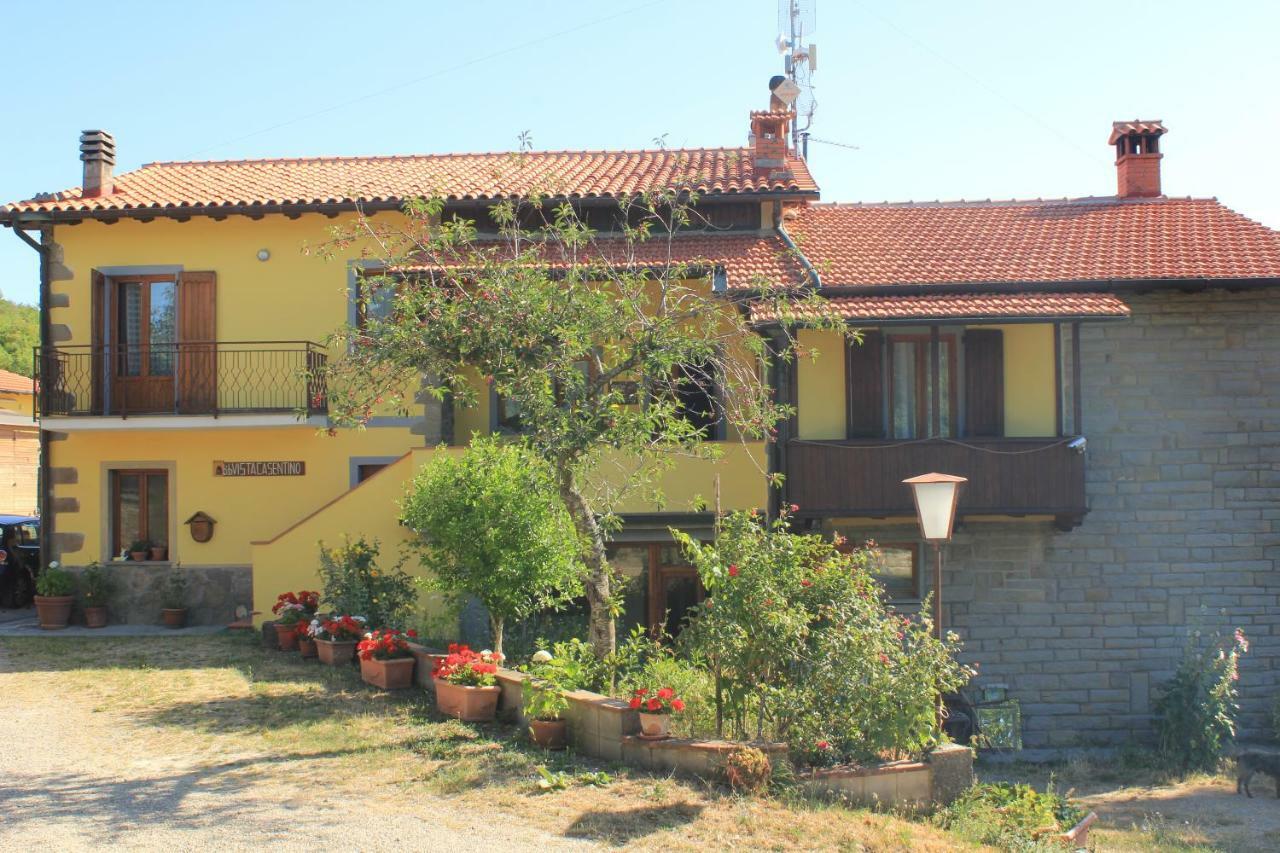 B&B Vista Casentino Pratovecchio Exteriér fotografie
