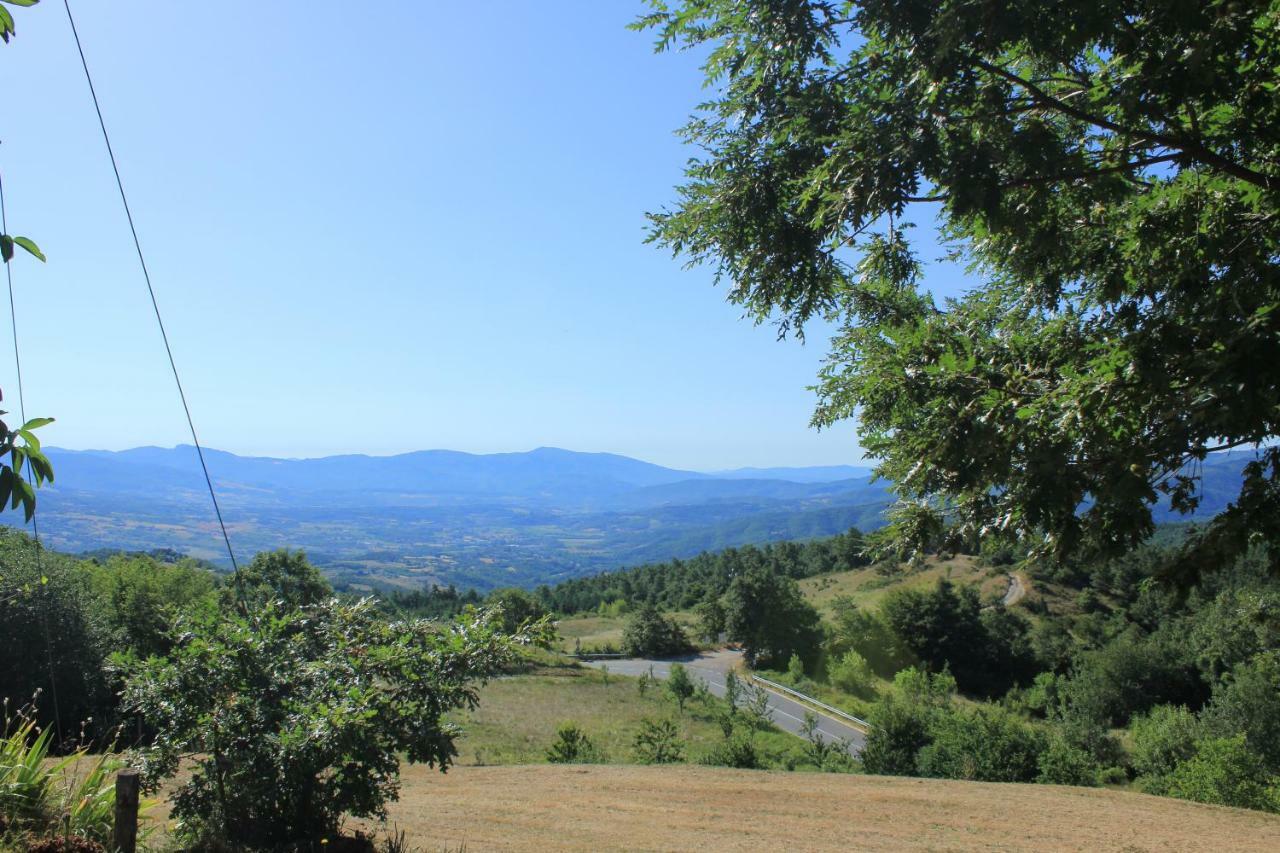 B&B Vista Casentino Pratovecchio Exteriér fotografie